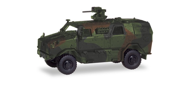 AFT-Dingo-m-FLW-200-dekoriert-11-746380_b_0.jpg