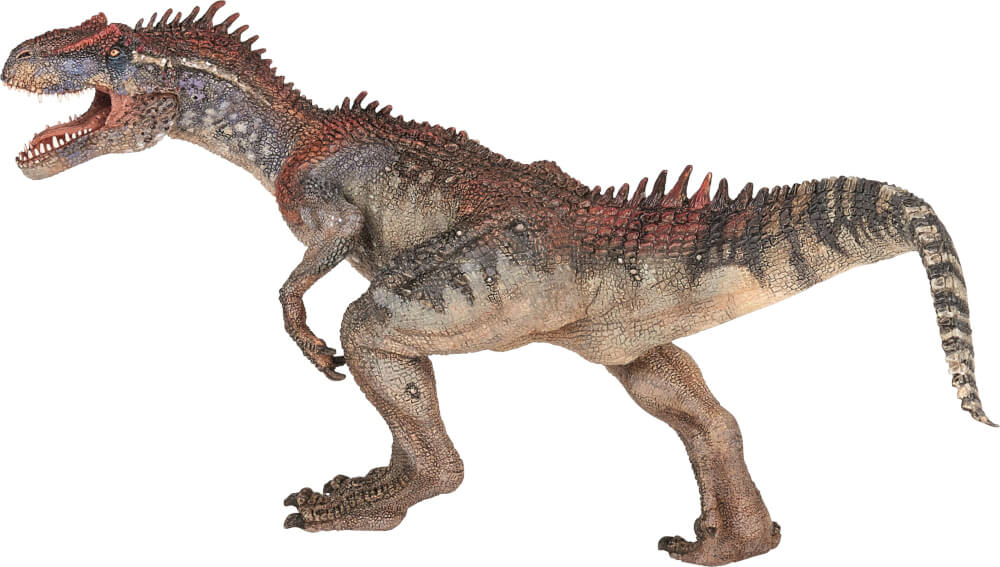 Allosaurus-68-55078_b_0.jpg