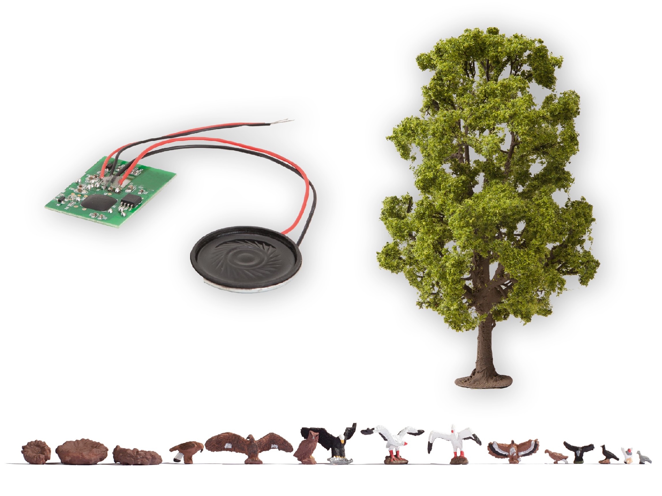 Baum-mit-Vogelzwitschern-12-21782_b_0.jpg