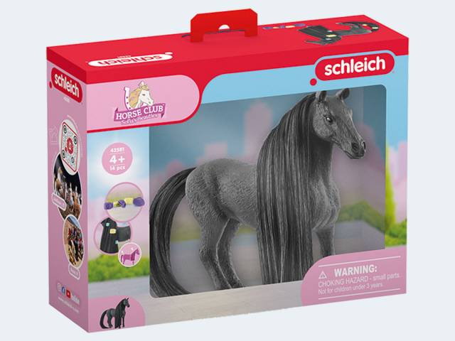 Beauty-Horse-Criollo-Definiti-56-42581_b_0.jpg
