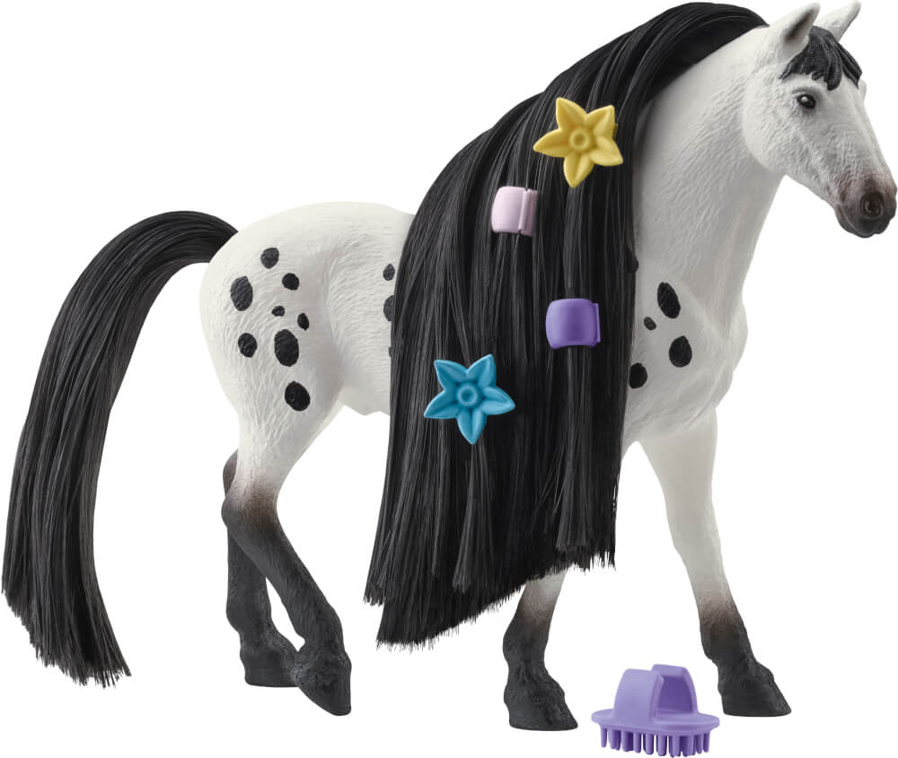 Beauty-Horse-Knabstrupper-Hengst-56-42622_b_0.jpg