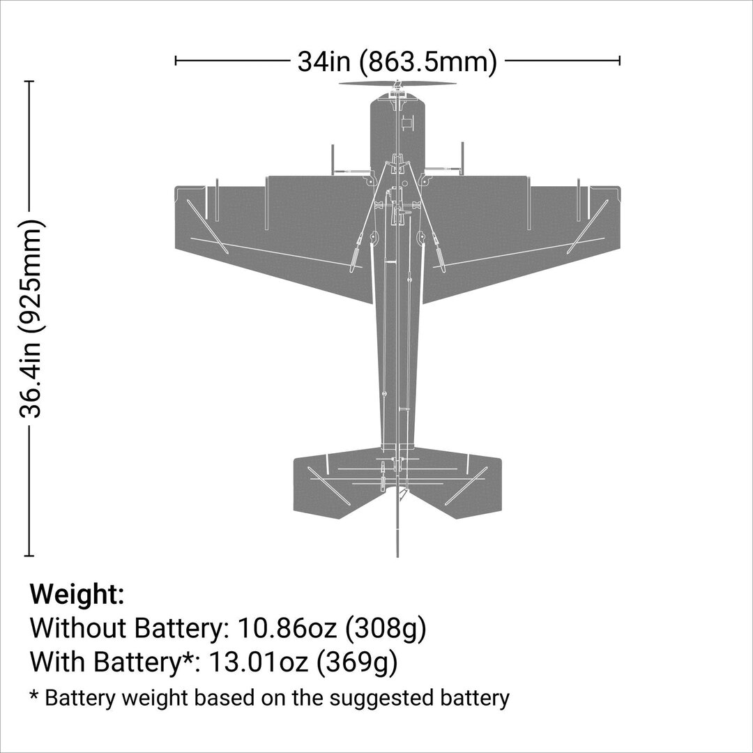 Eratrix_Eflite_EFL01950_2.jpg