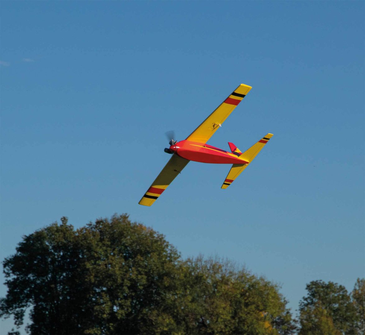 Rasant_Speed_verbrenner_Robbe_2685_3.jpg