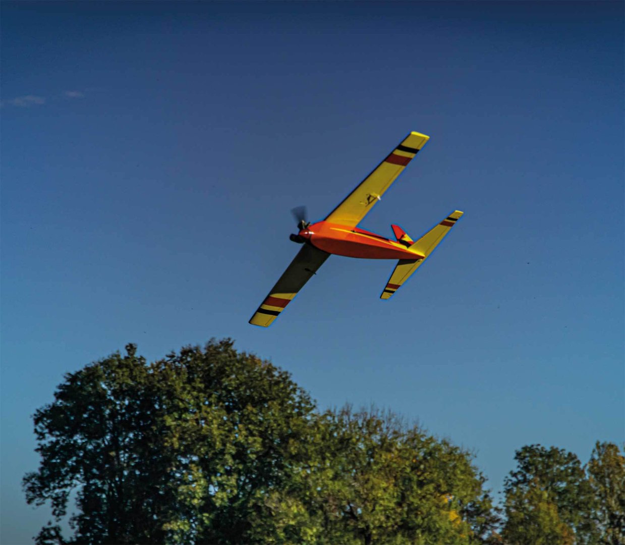 Rasant_Speed_verbrenner_Robbe_2685_4.jpg
