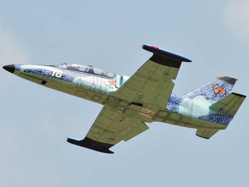albatros-l-39-1890-mm_126_6.jpg