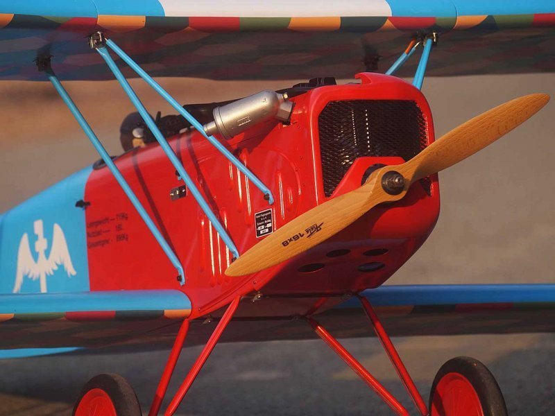 fokker-d7m-blau-1730mm_126_2.jpg