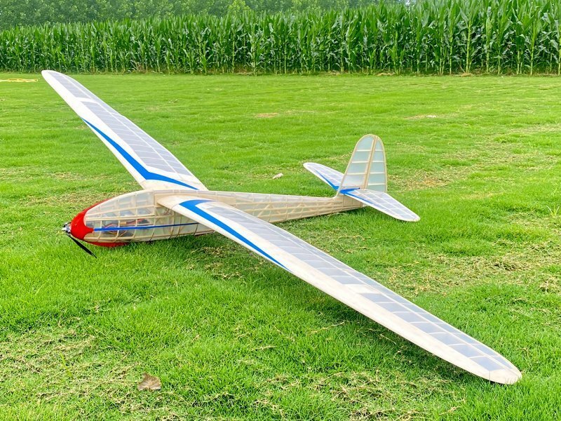 lippisch-g108-2750-mm.jpg