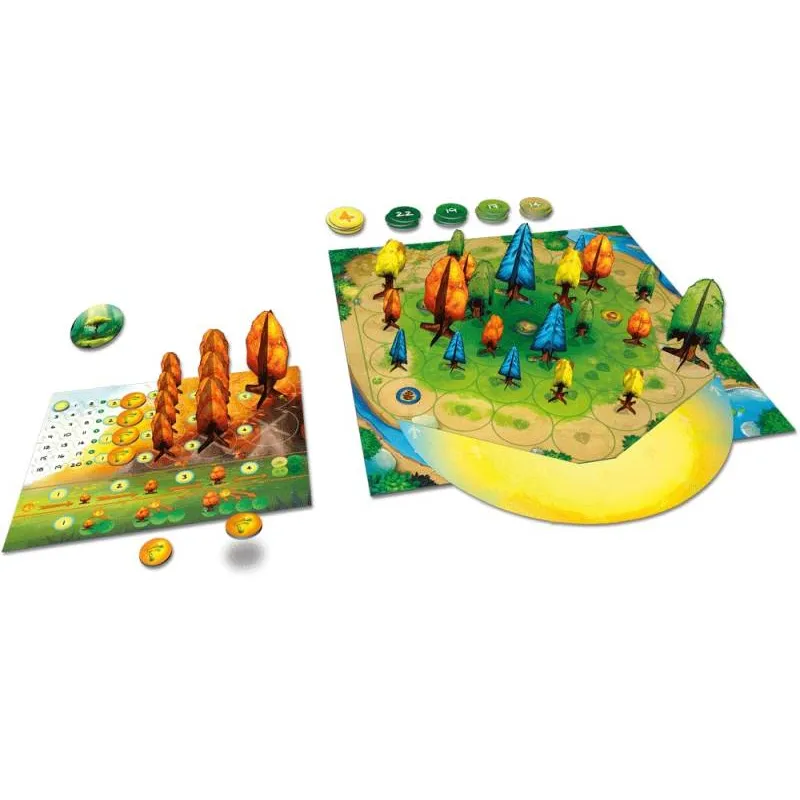 photosynthese-das-spiel-um-licht-und-schatten3.webp