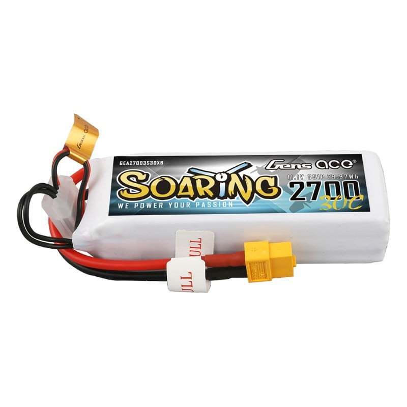 soaring_3s_2700.jpg